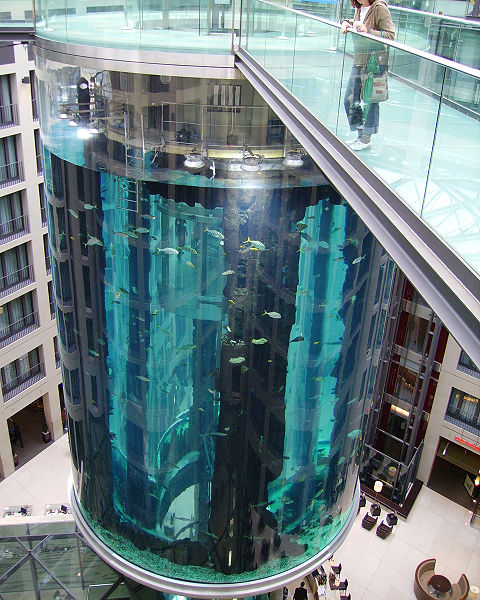 Photo de Dellex, Wikipedia