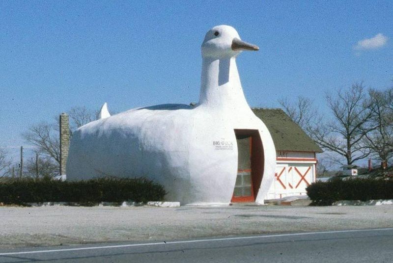 Big_Duck de Beth Savage sur Wikipedia 