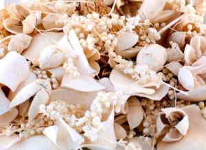 Fleurs sechees Potpourri ISTOCKPHOTO decoration
