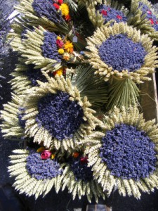 Fleurs sechees ISTOCKPHOTO decoration