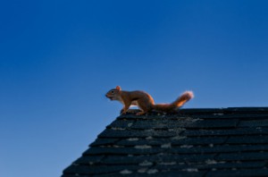 iStockphoto