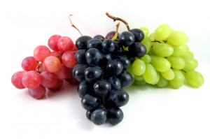 iStockphoto LP