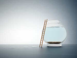iStockphoto