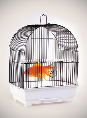 iStockphoto