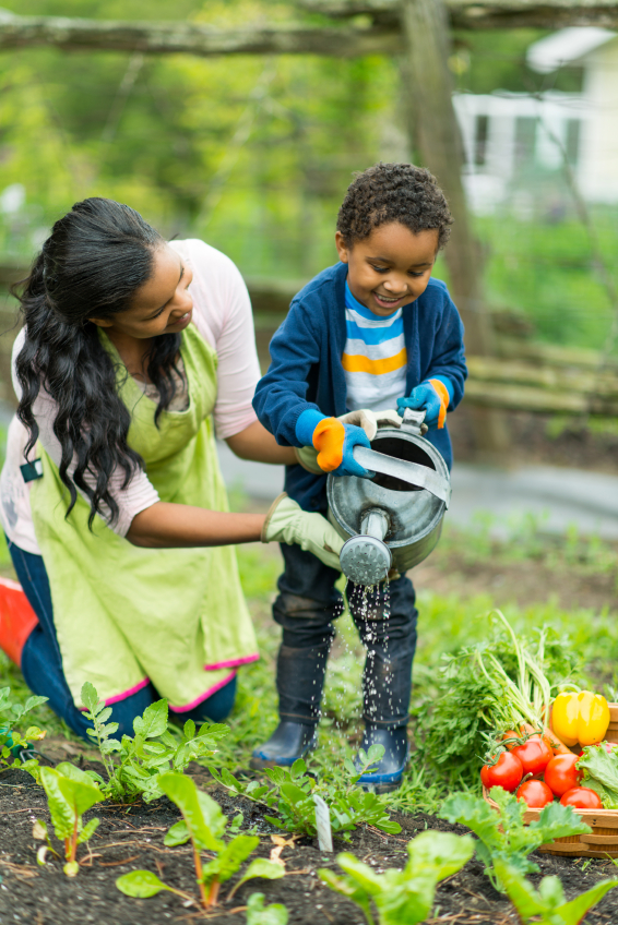 iStockphoto