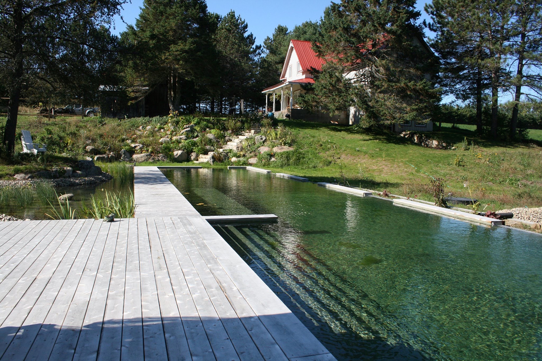 Piscine naturelle patio TOPIA environnement