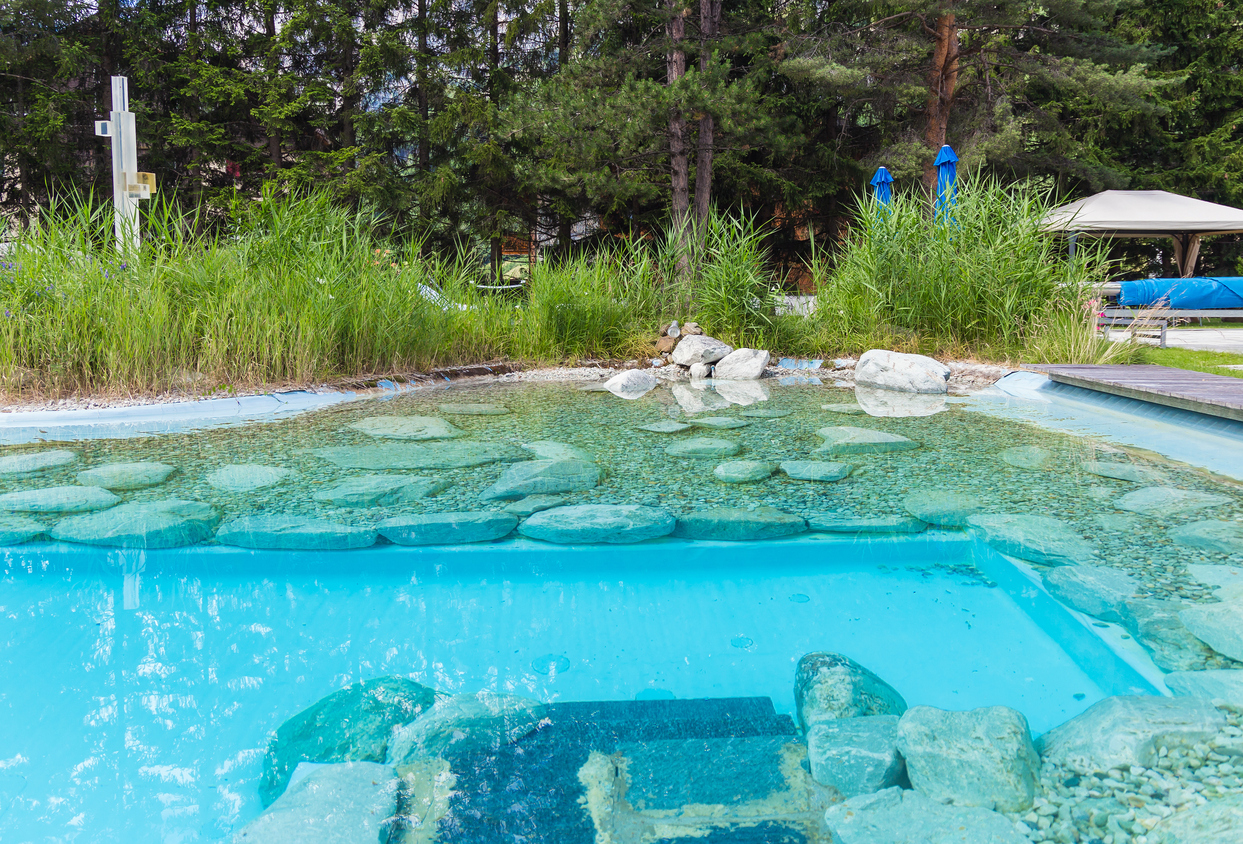 Un Gersois en lice pour le Concours Lépine avec une invention écologique  pour nettoyer les piscines 