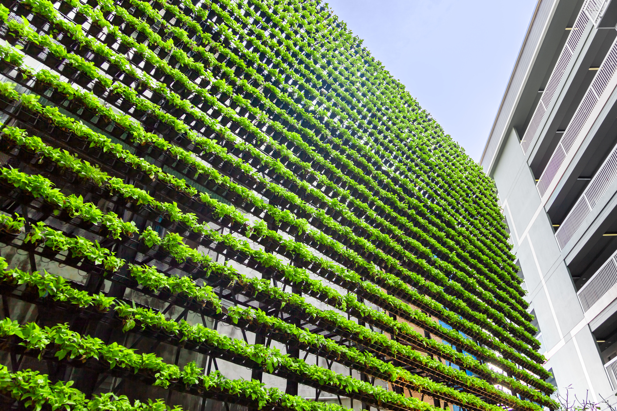 mur végétal exterieur - environnement - Via Capitale