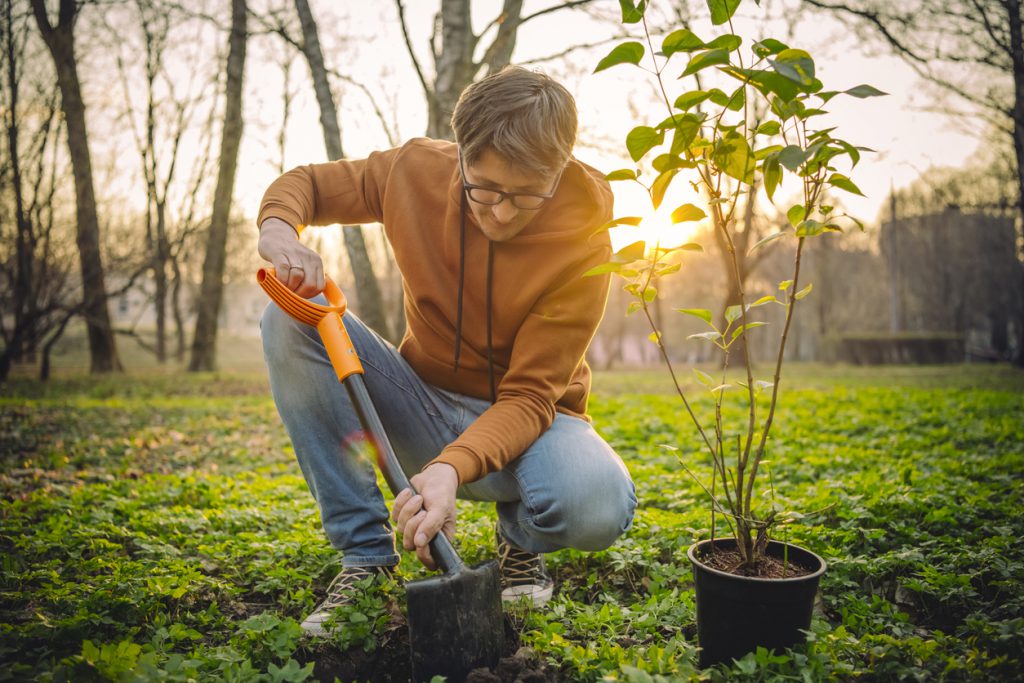 Man planting tree outdoors in spring