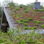 Green roof of an ecological house, energy-planted with grass and moss