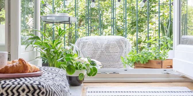 Urban jungle concept kitchen with balcony full of green plant and pouf, real photo, panoramic view